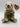 ❤️ TY Beanie Baby - ALMOND the Beige Bear (7 inch) MINT NEW
