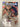 Bombshells United #8 ~ DC Comics- Box 3